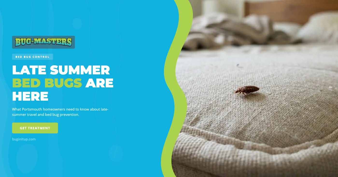 Why Late Summer Is Peak Bed Bug Season in Portsmouth, VA: Travel Tips and Home Prevention