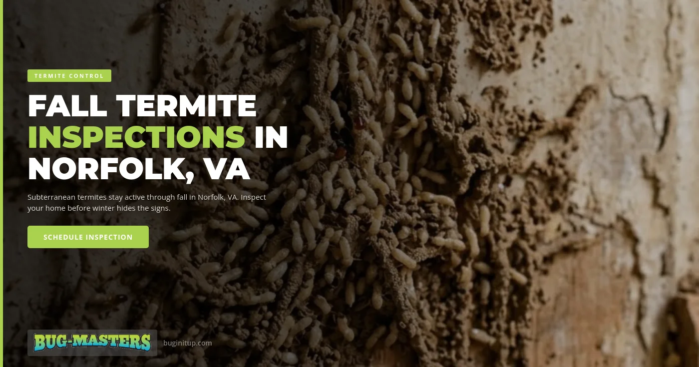 Fall termite inspection in Norfolk, VA — Bug-Masters technician checking a crawl space foundation wall for subterranean termite mud tubes before winter sets in across Hampton Roads.