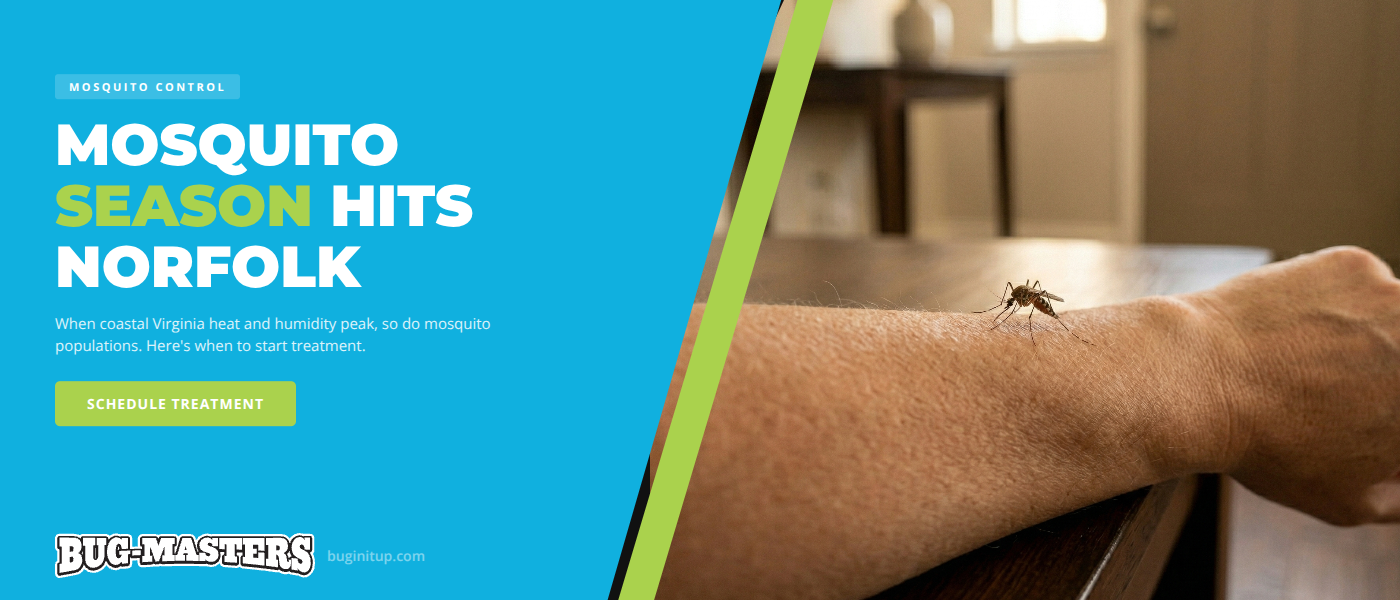 Mosquito Season in Norfolk, VA: When It Starts and How to Protect Your Family | Bug-Masters
