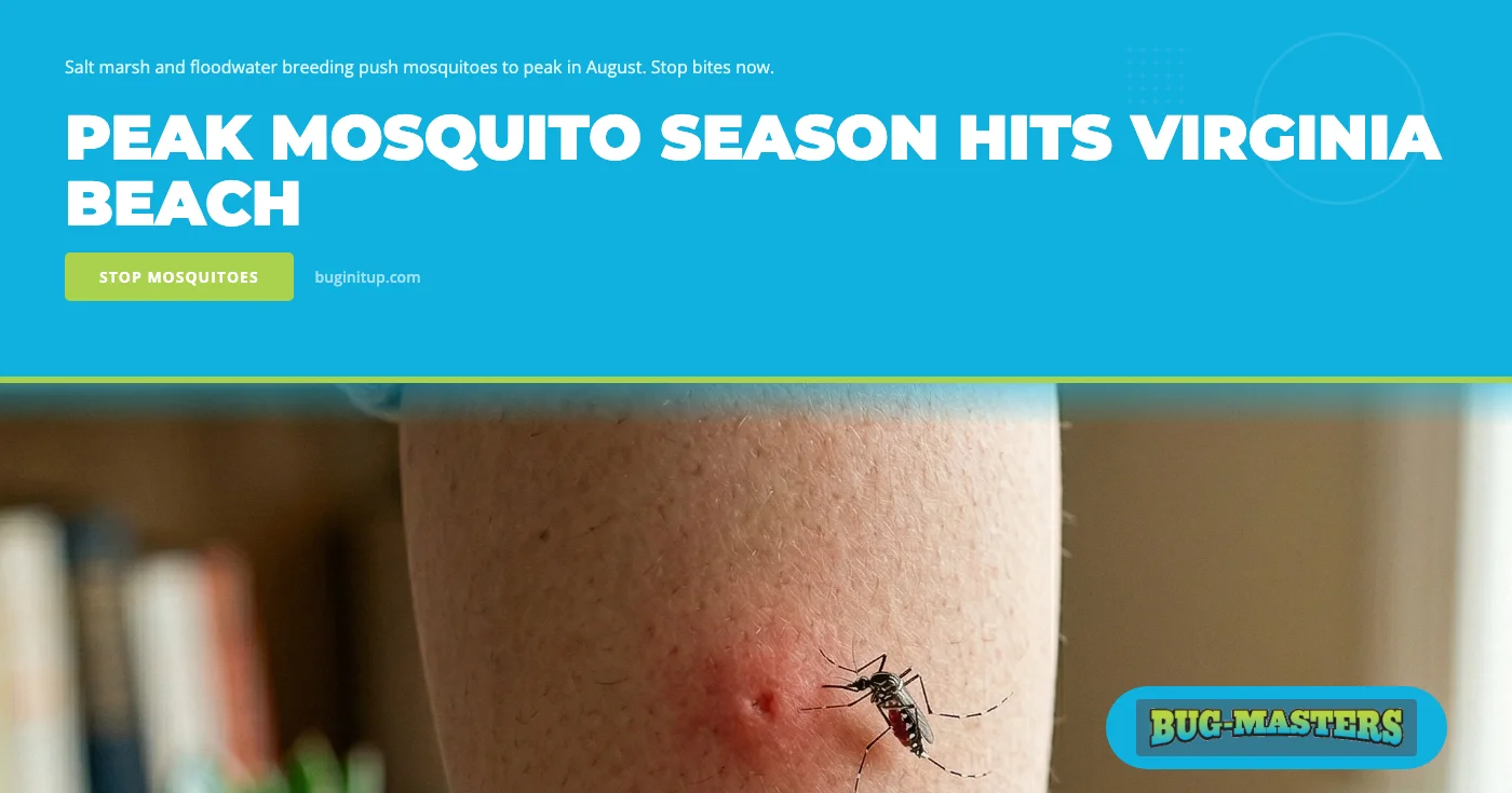 Why August Is Peak Mosquito Season in Virginia Beach, VA: Salt Marsh and Floodwater Breeding After Summer Storms