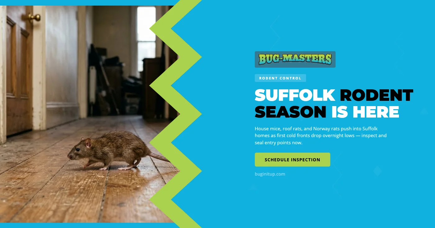 How Cooling Fall Temperatures Drive Rodents Into Suffolk, VA Homes — And What to Do