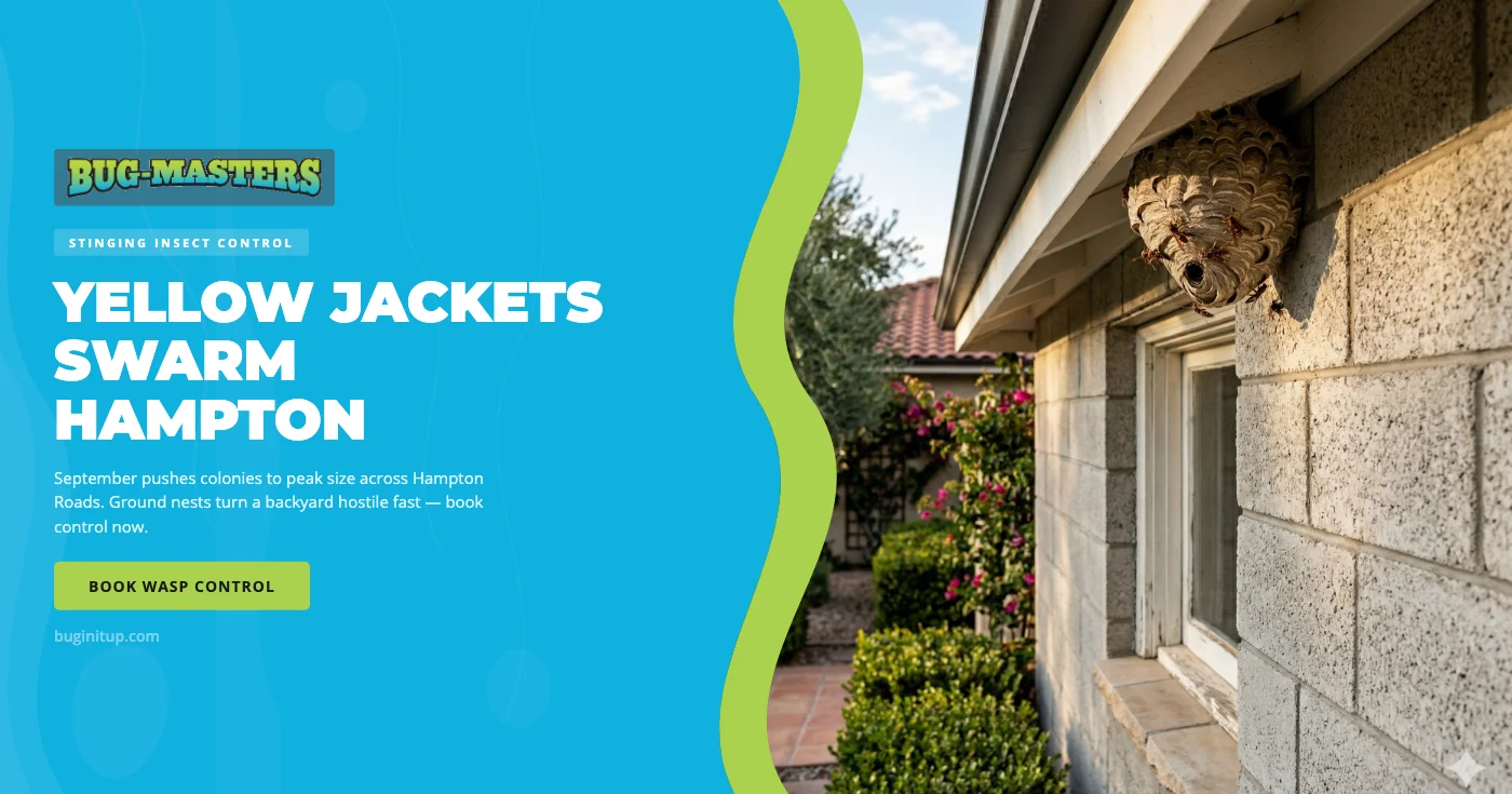 Why September Is Peak Yellow Jacket and Wasp Season in Hampton, VA — and How to Protect Your Family
