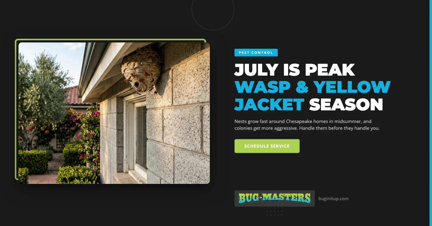 Stinging Insect Control in Chesapeake, VA | Bug
