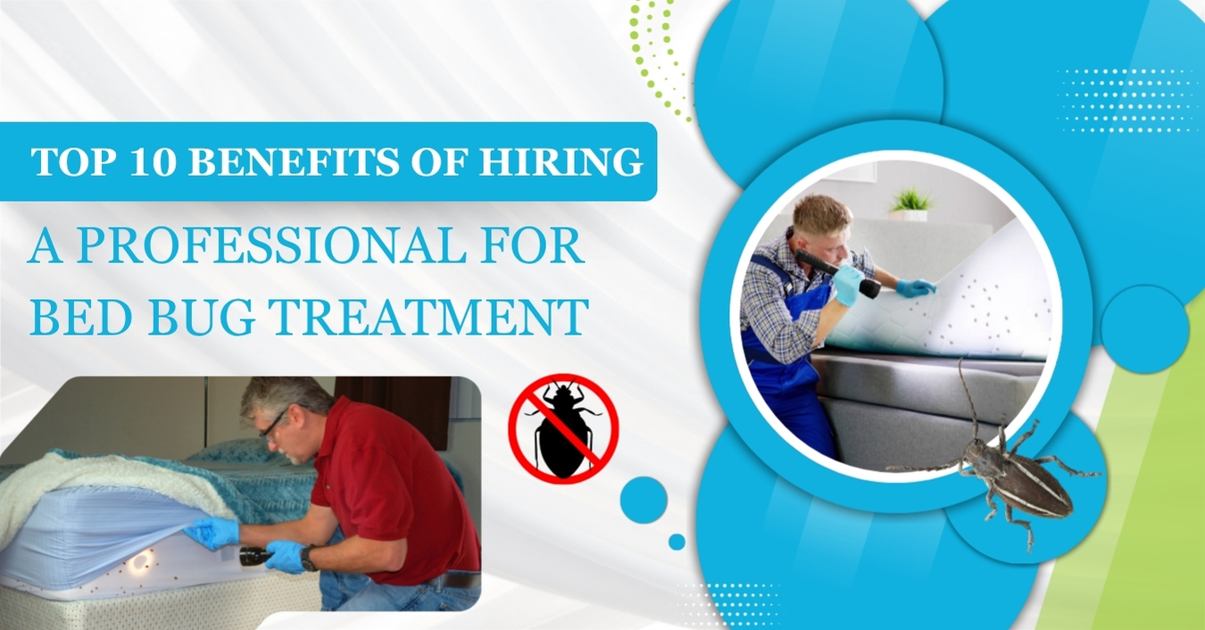 Top 10 Benefits of Hiring a Professional for Bed Bug Treatment | Bug-Masters