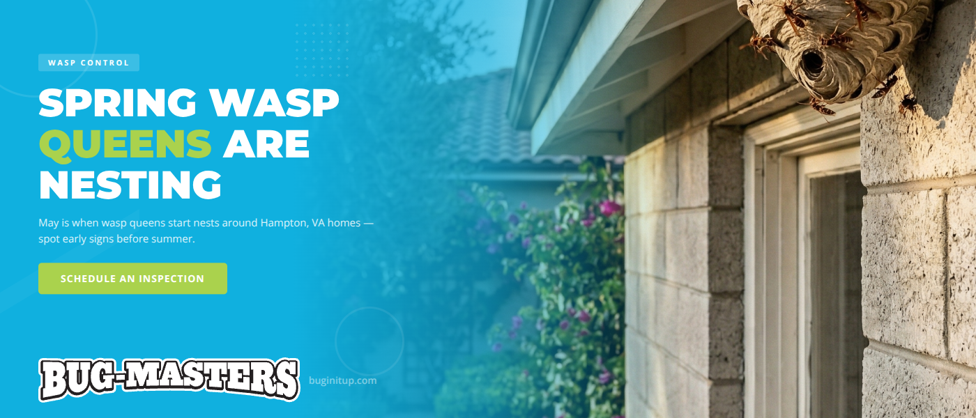 Spring Wasp Nest Prevention in Hampton, VA | Bug